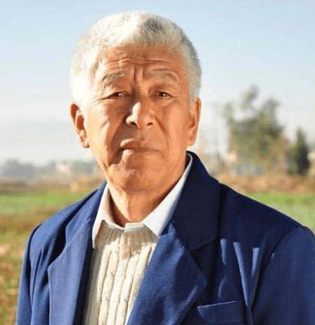 张洪杰爆料娶媳妇视频,甜蜜瞬间引网友热议