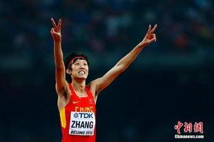 张国伟最新爆料,娱乐圈背后的惊人真相